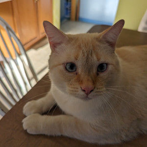 Meet your Posher, Mandy